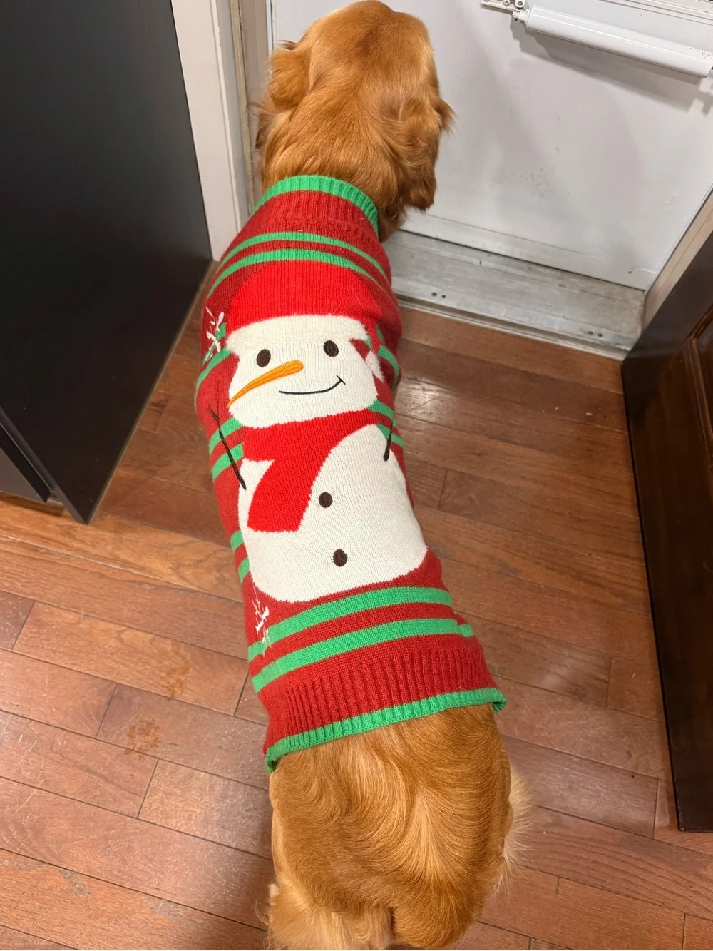 Lot of 3 - FuzzYard Holiday Dog Sweater and jammies- Medium-Large Dog